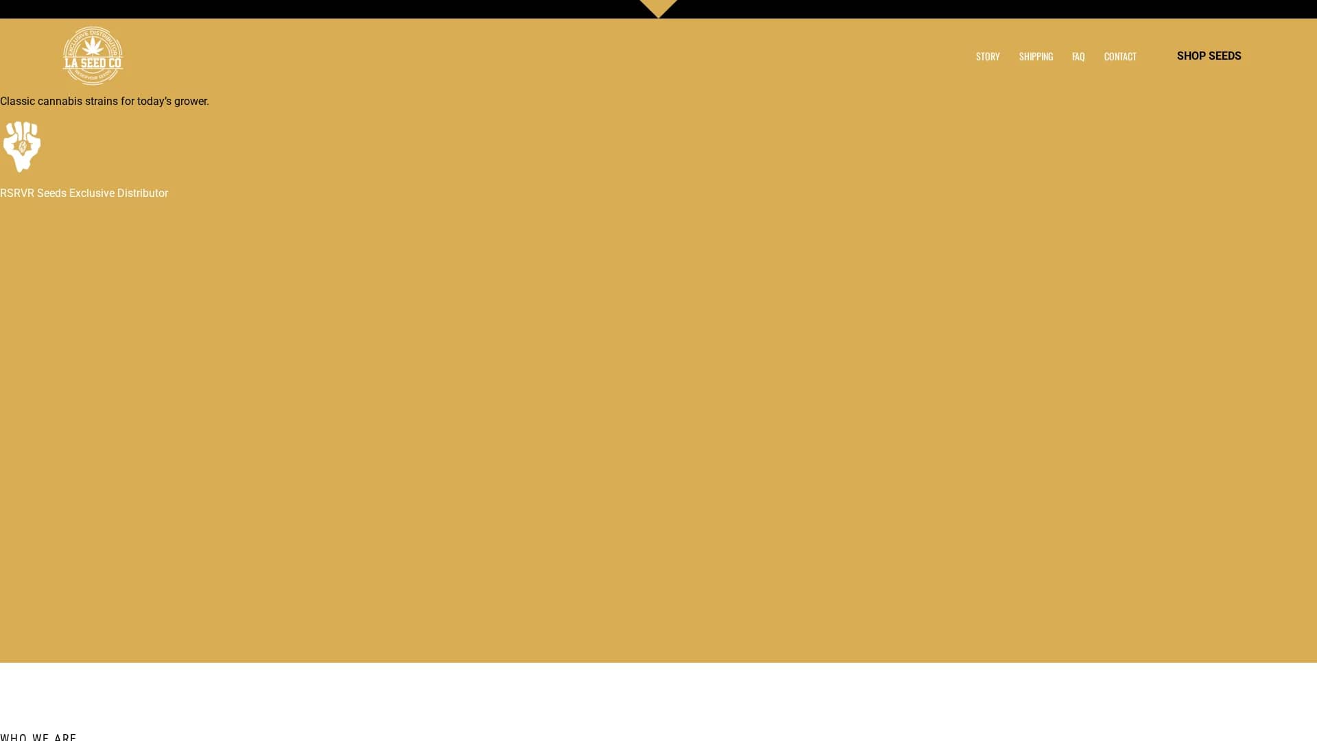 magician-figma homepage