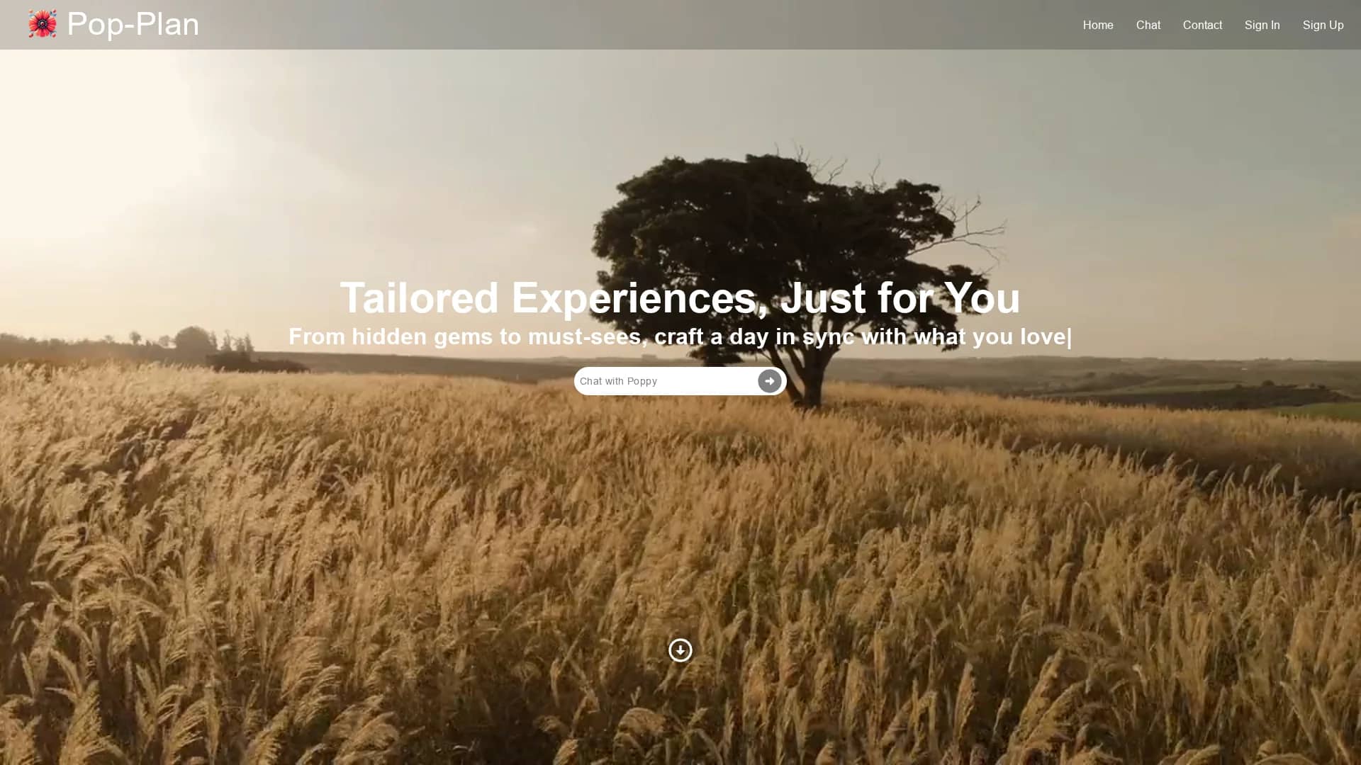 pop-plan homepage