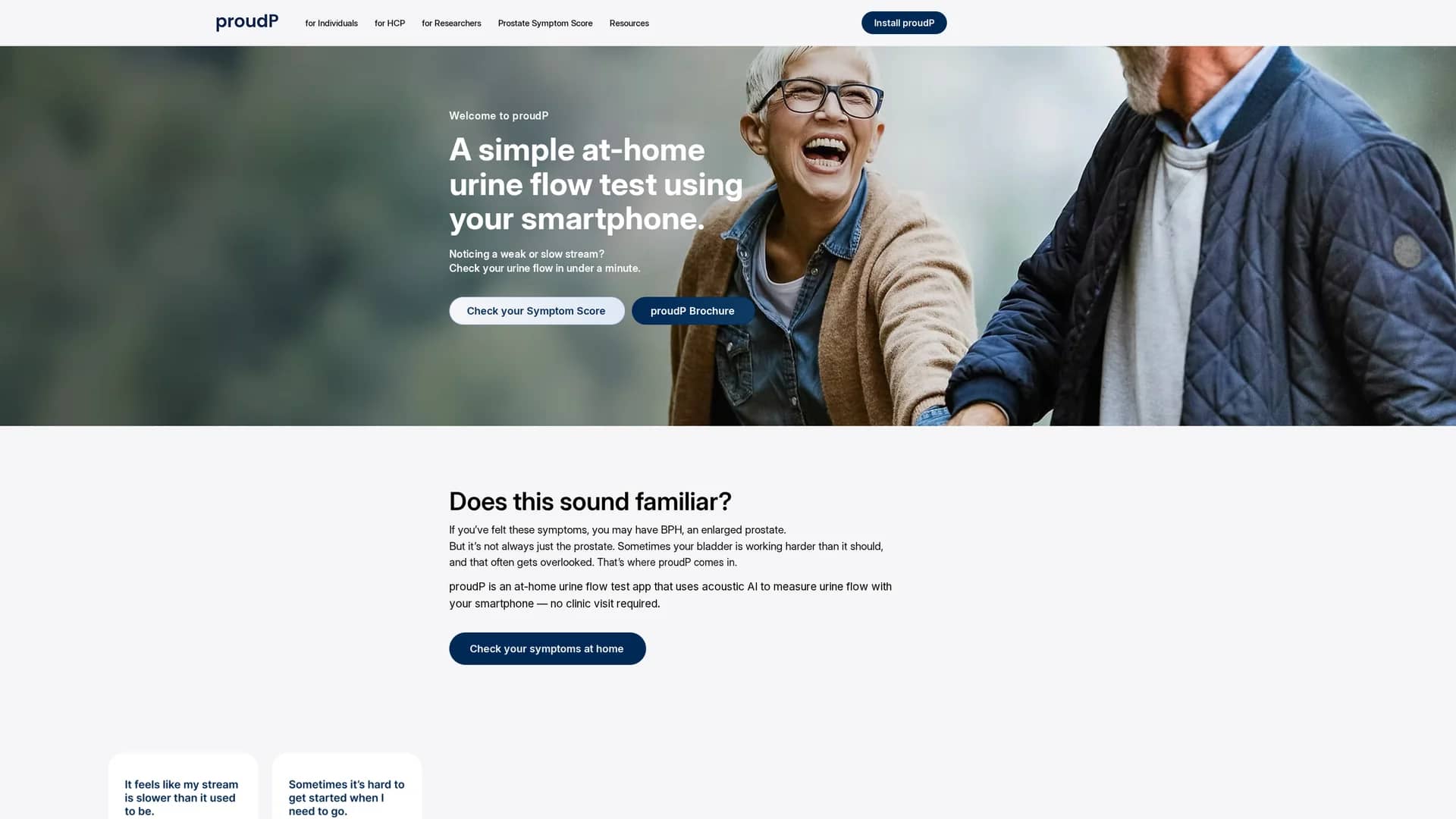 proudp homepage