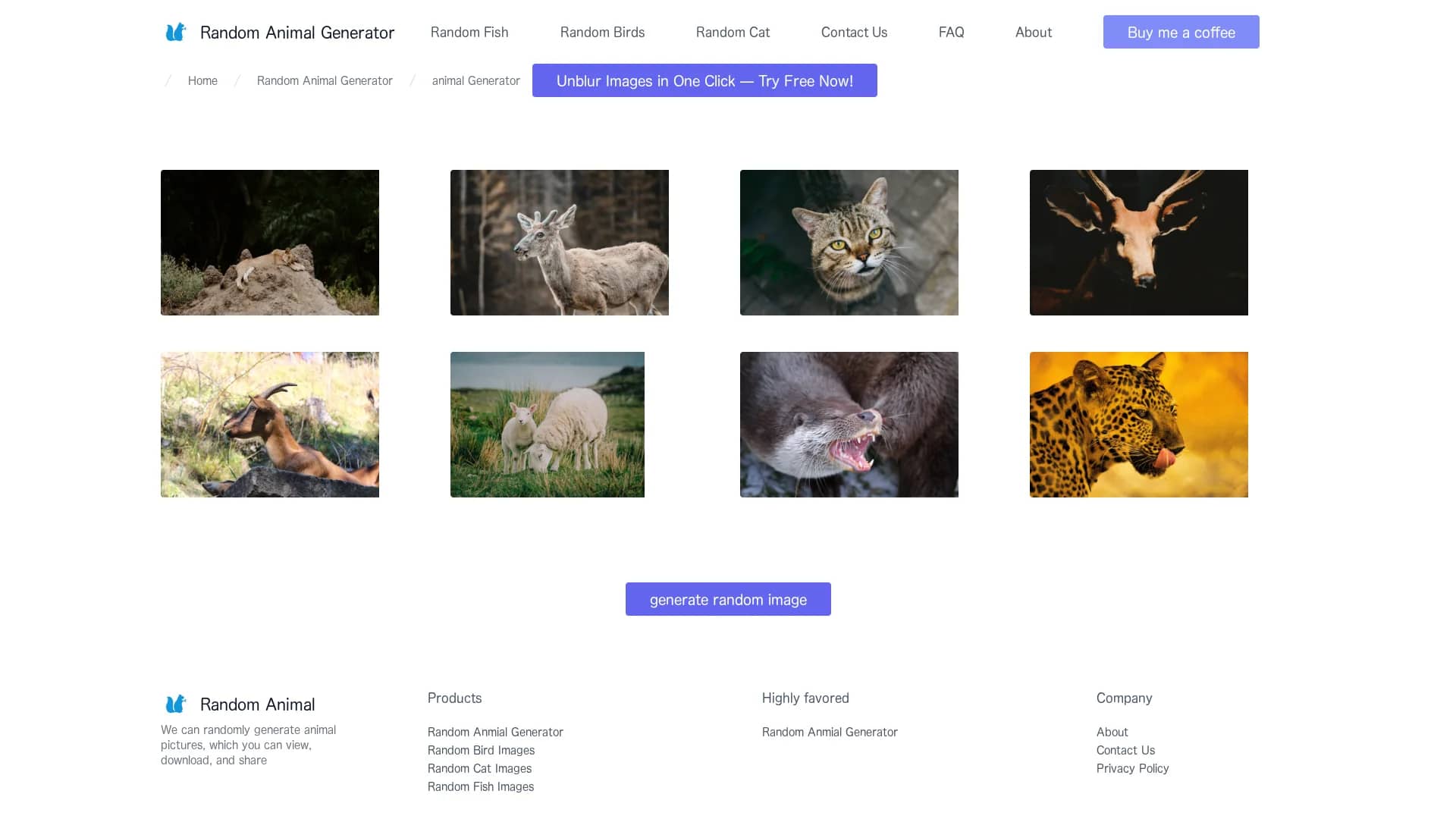 random-animal-generator homepage