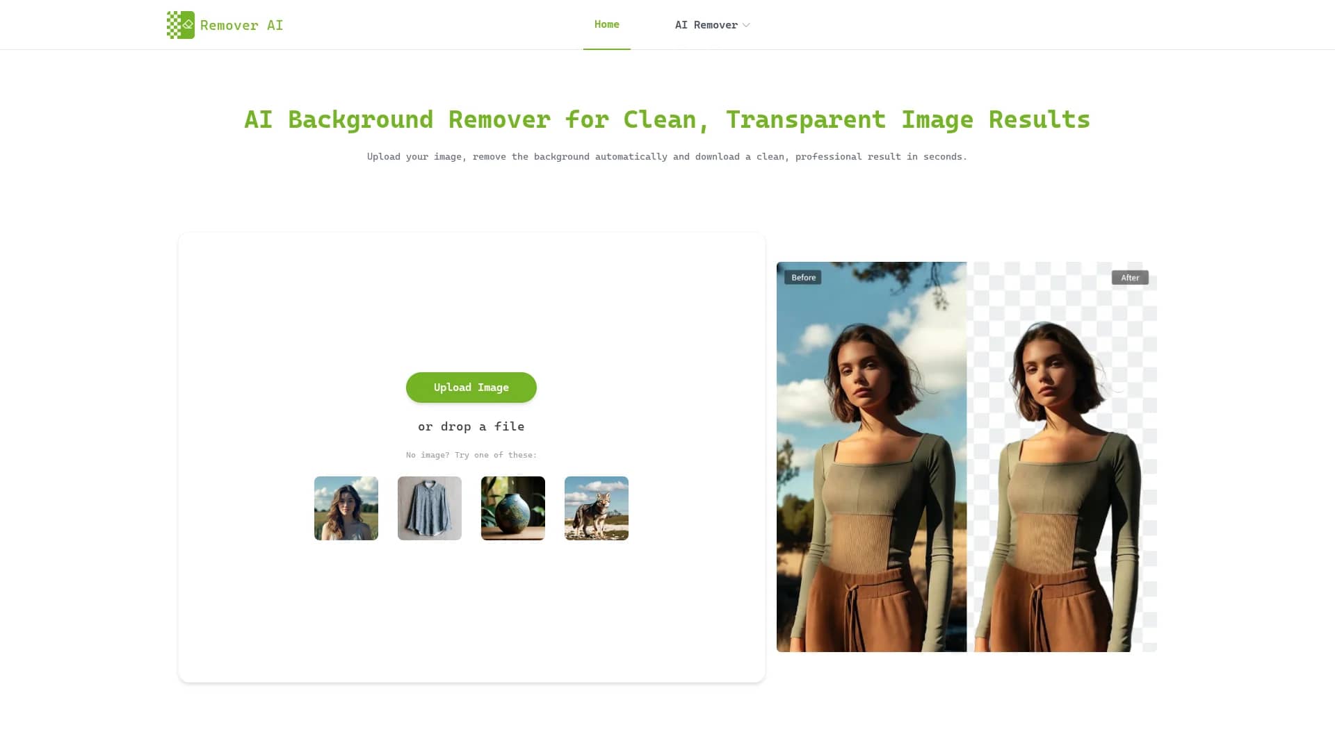removerai-io homepage