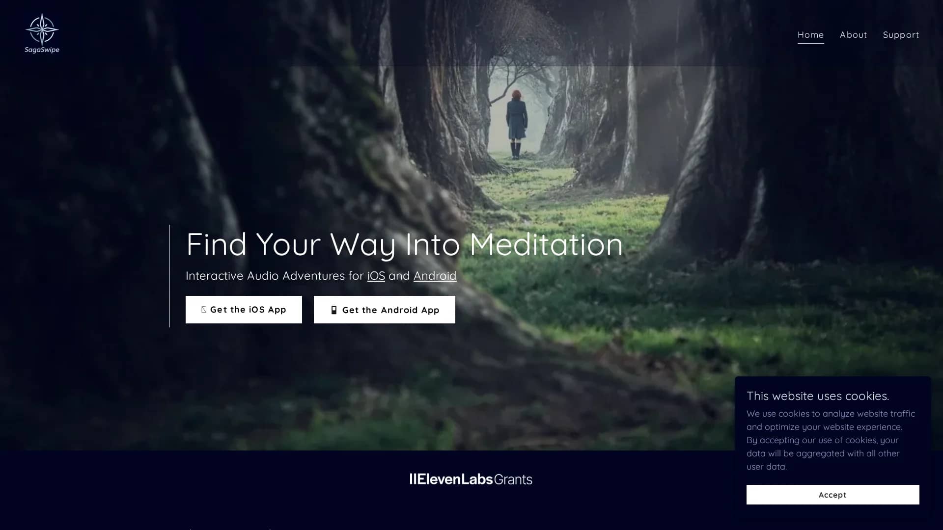 sagaswipe homepage
