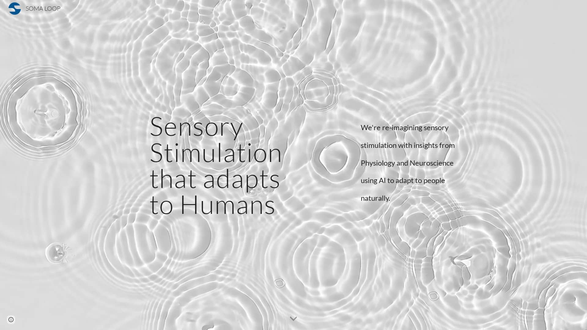 sensae-loop homepage
