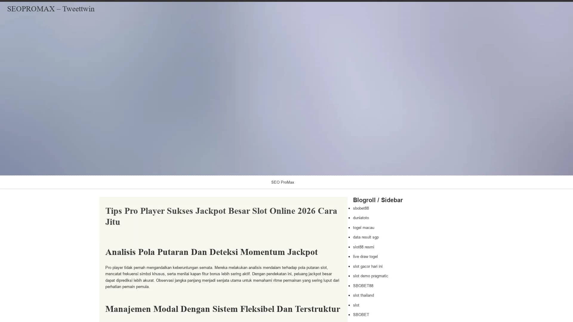 tweettwin homepage