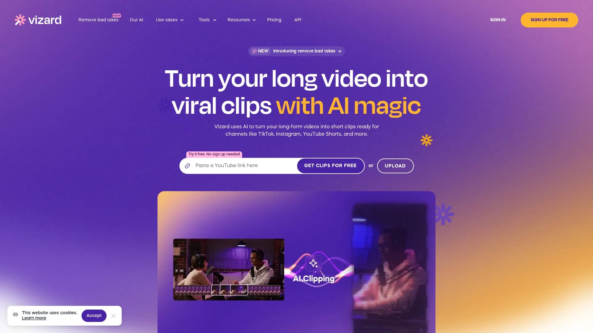 vizard homepage
