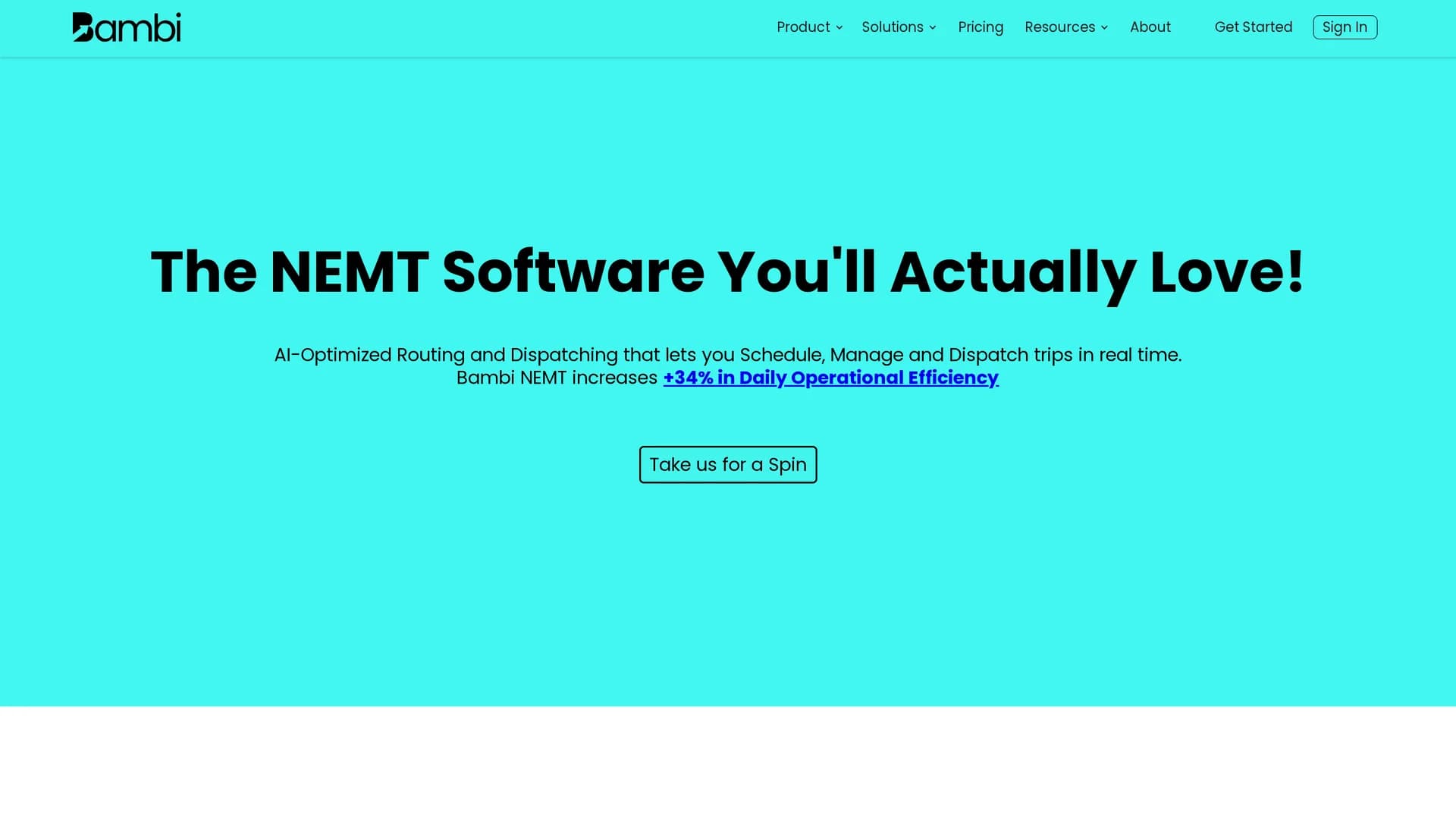 bambi-nemt homepage