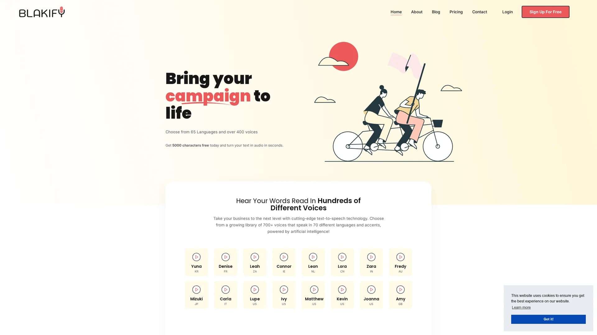 blakify homepage