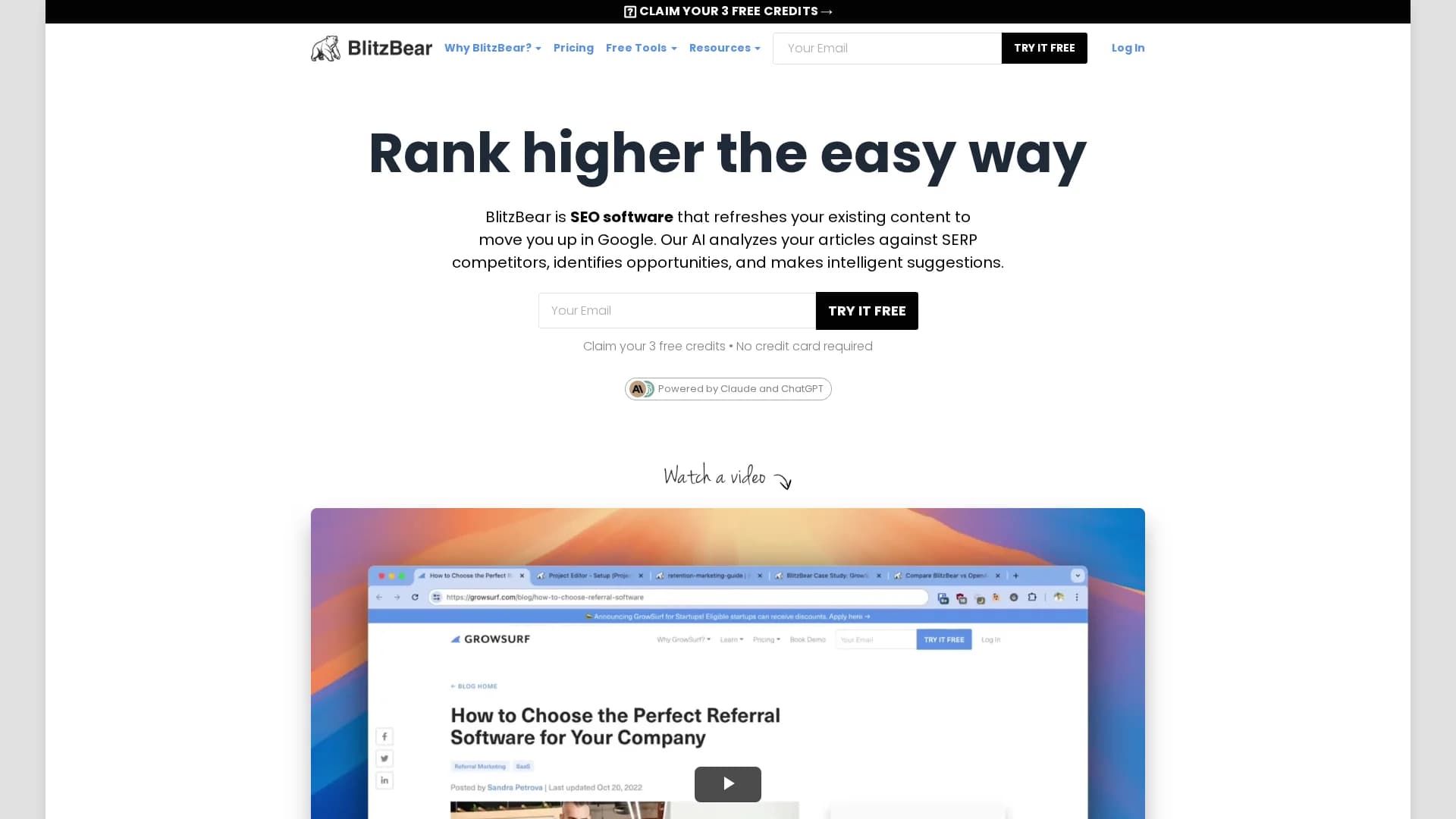blitzbear homepage