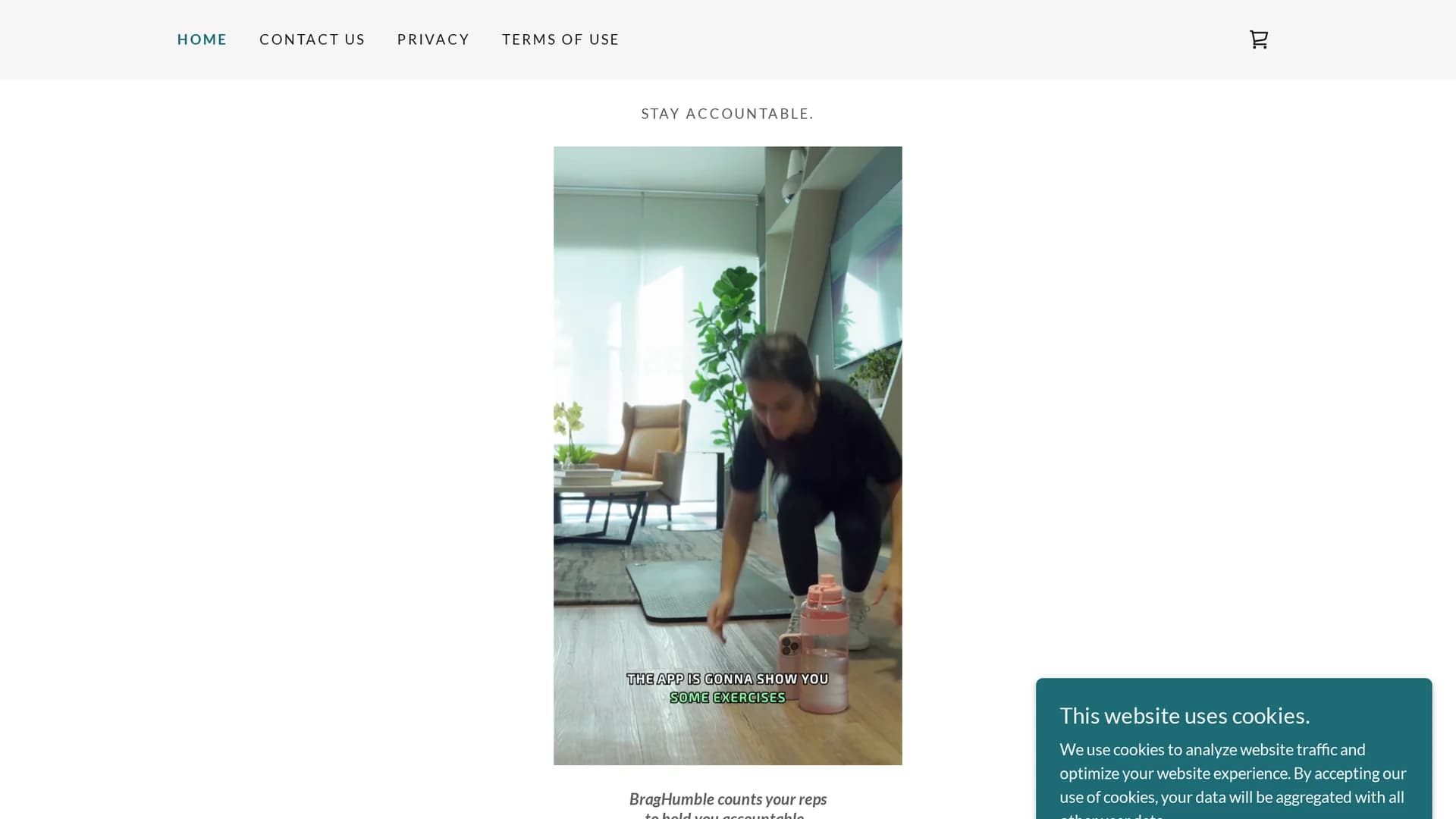 braghumble homepage