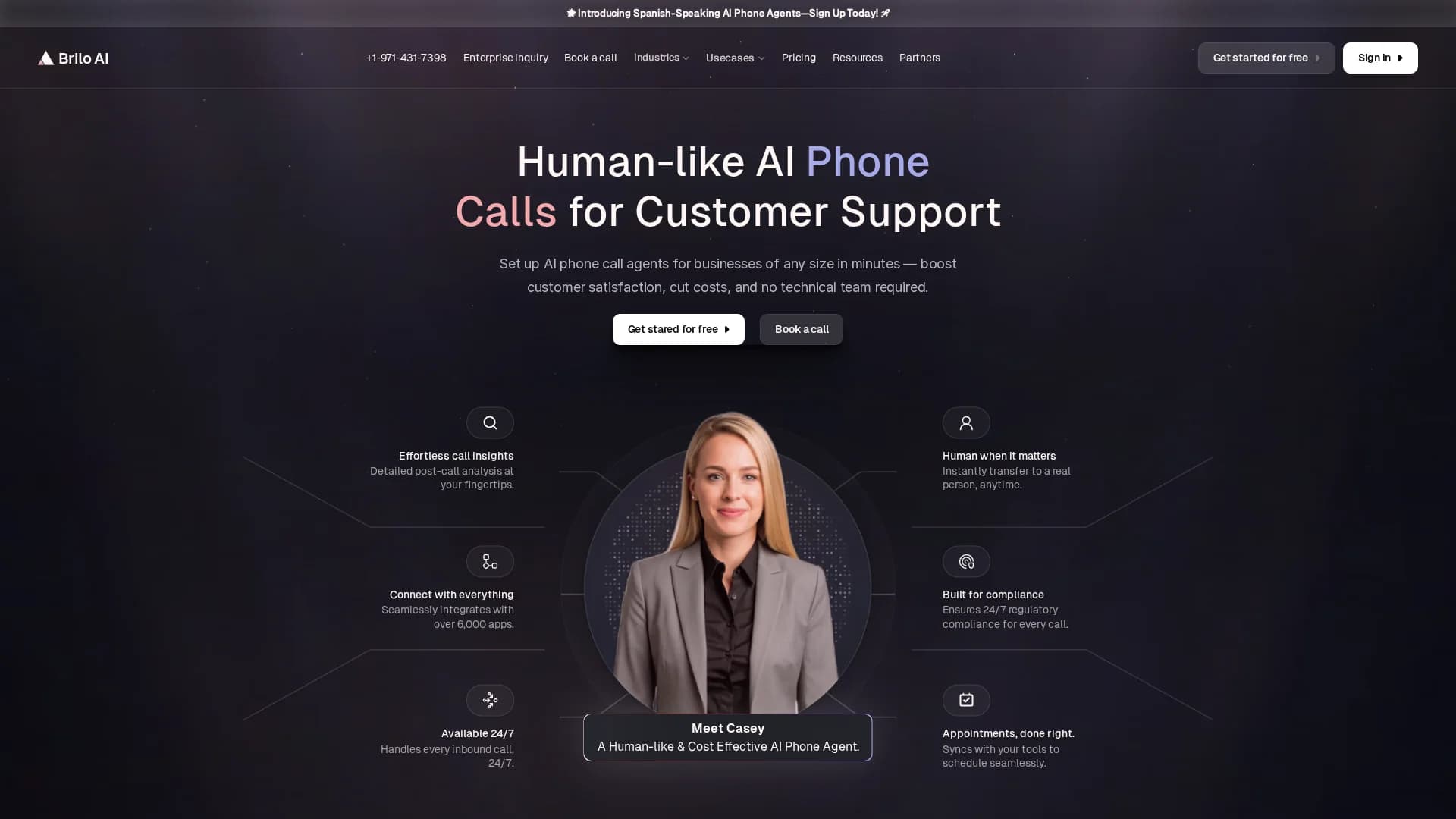 brilo-ai homepage