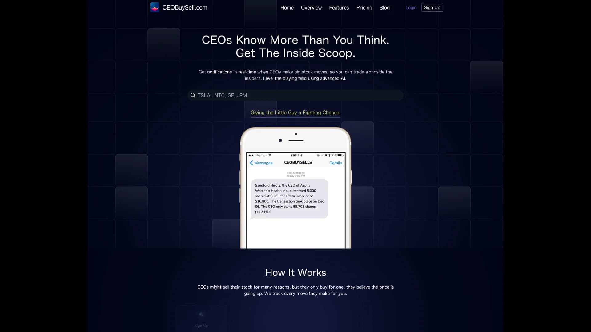 ceobuysell-com homepage