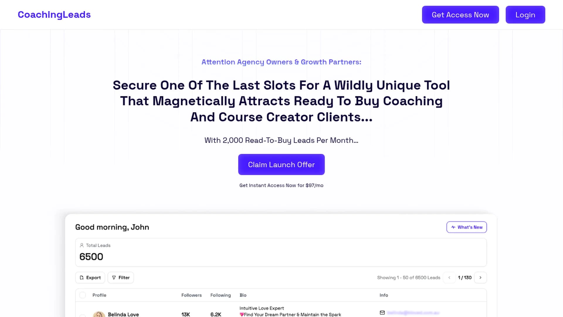 coachingleads-io homepage