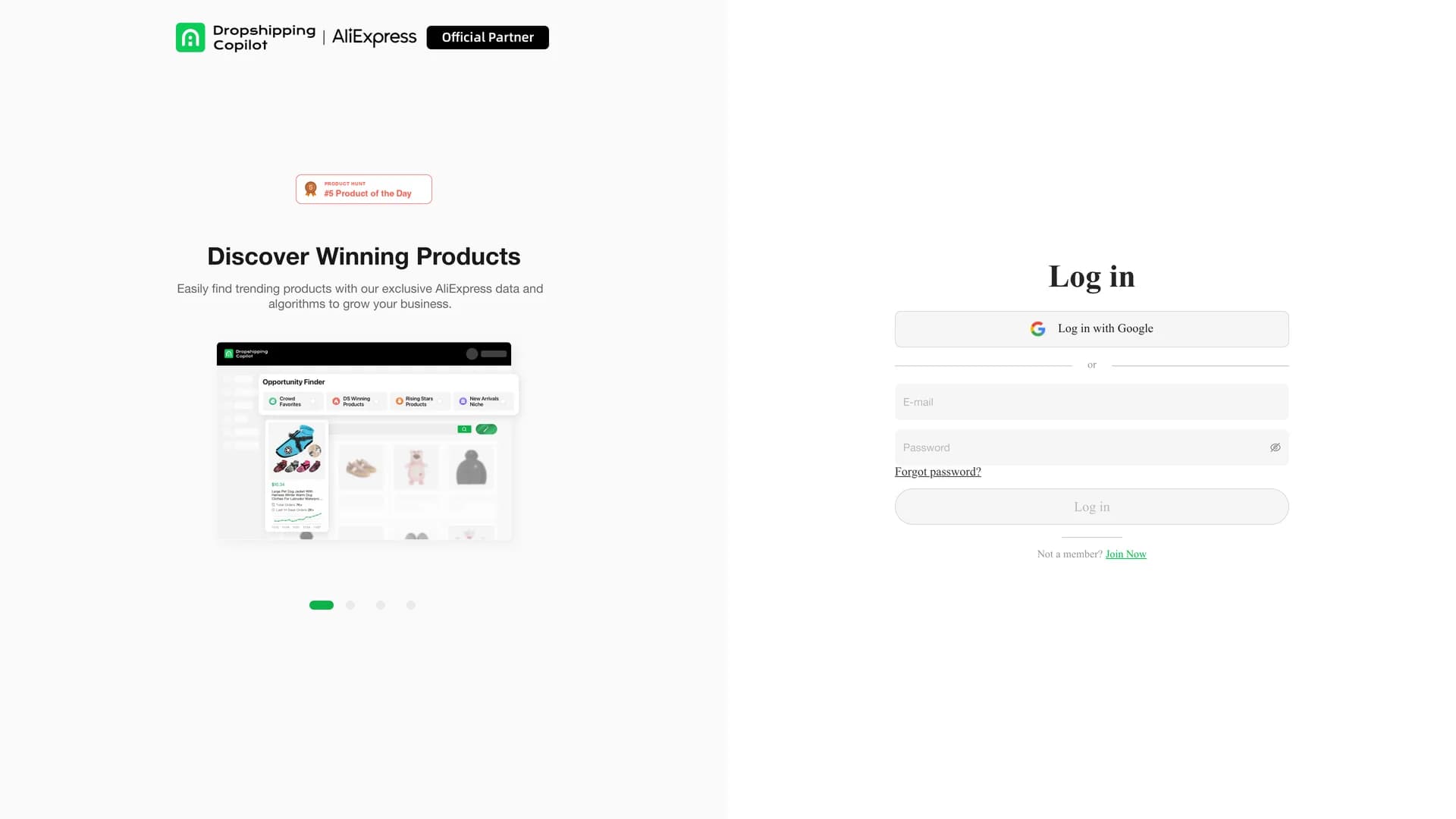 dropshipping-copilot homepage