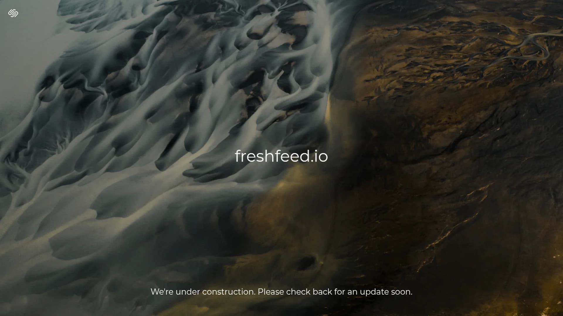 freshfeed homepage