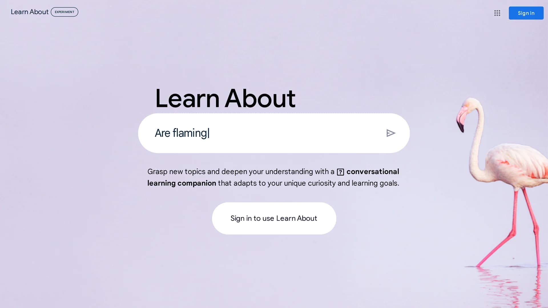 google-s-learn-about homepage