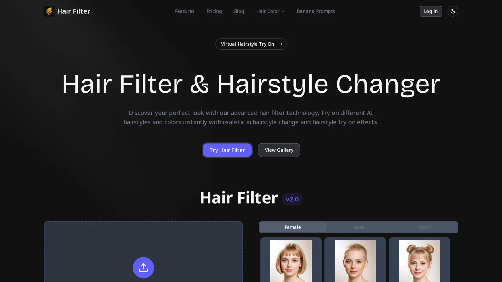 hair-filter homepage