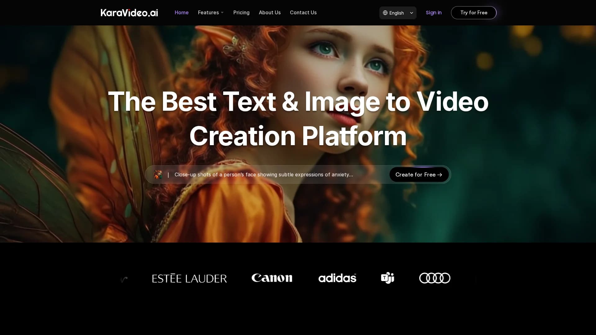 karavideo-ai homepage