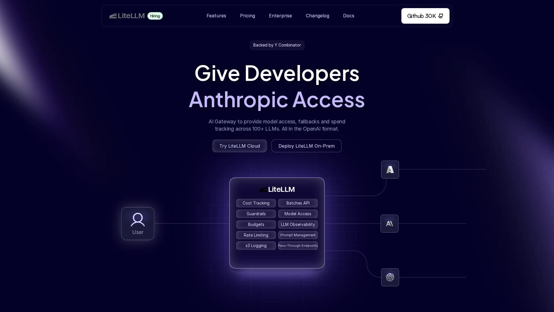 litellm homepage