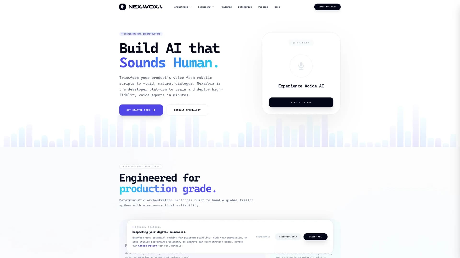 nexavoxa homepage