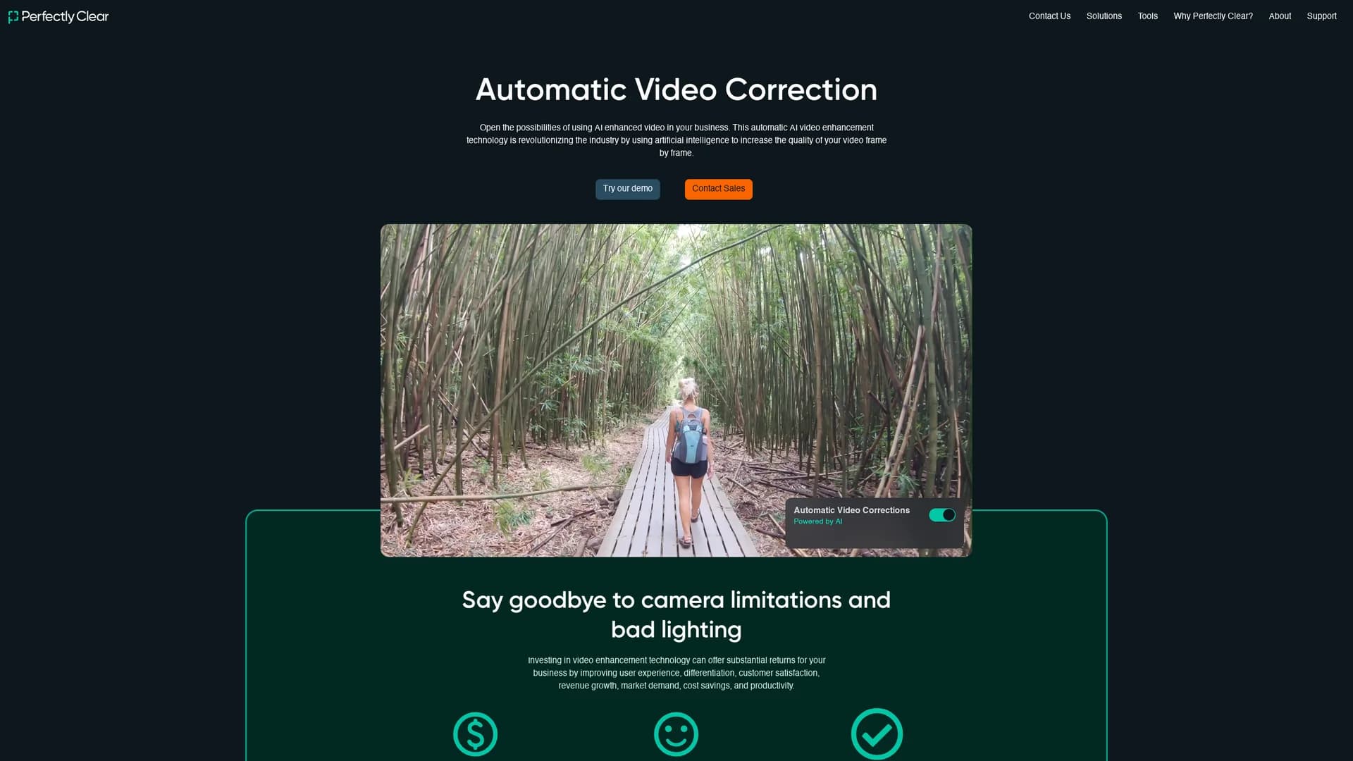 perfectly-clear-video homepage