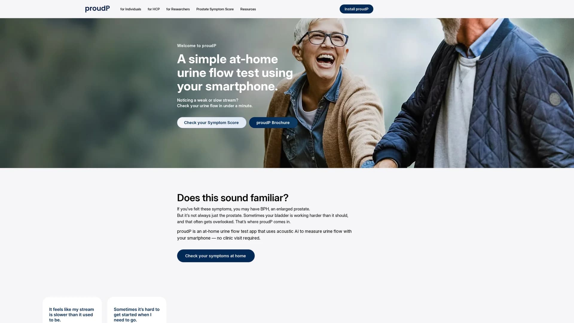 proudp homepage