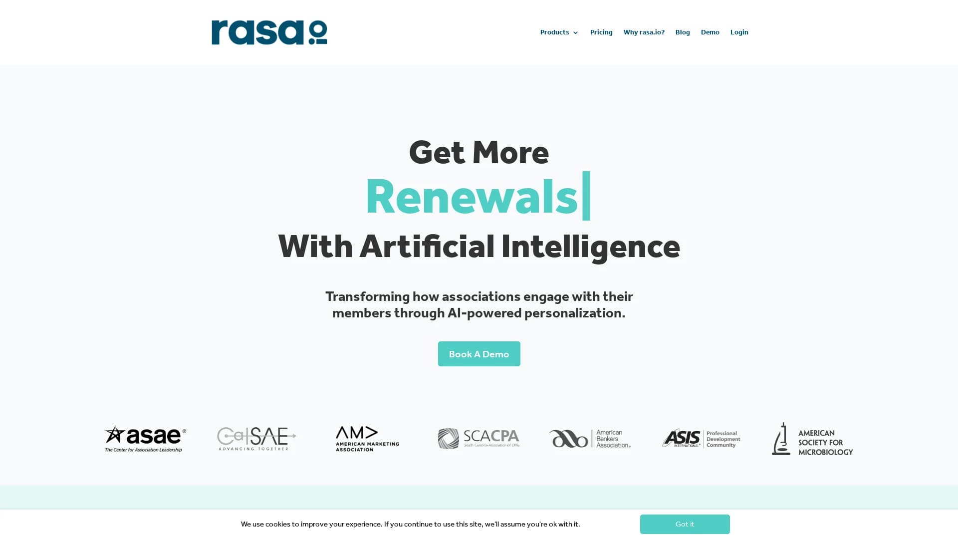 rasa-io homepage