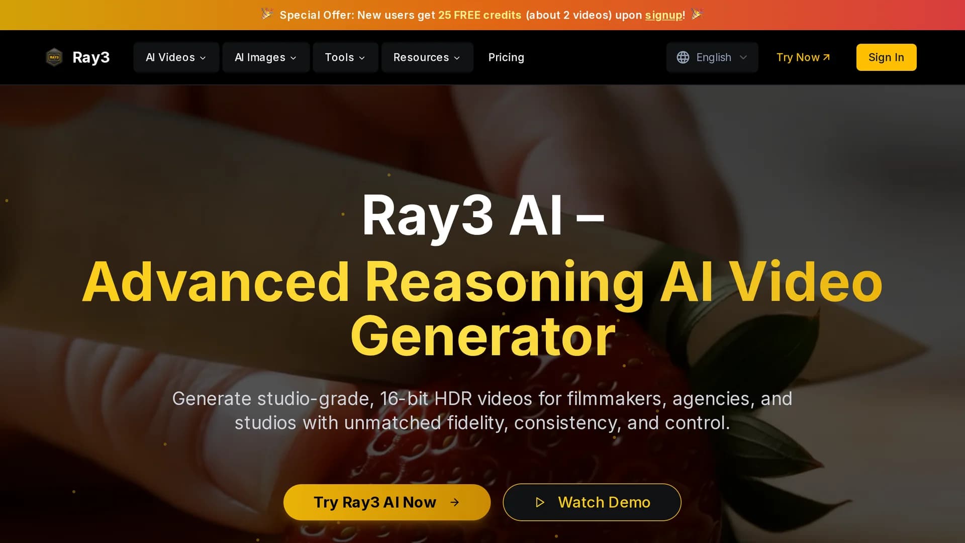 ray3 homepage