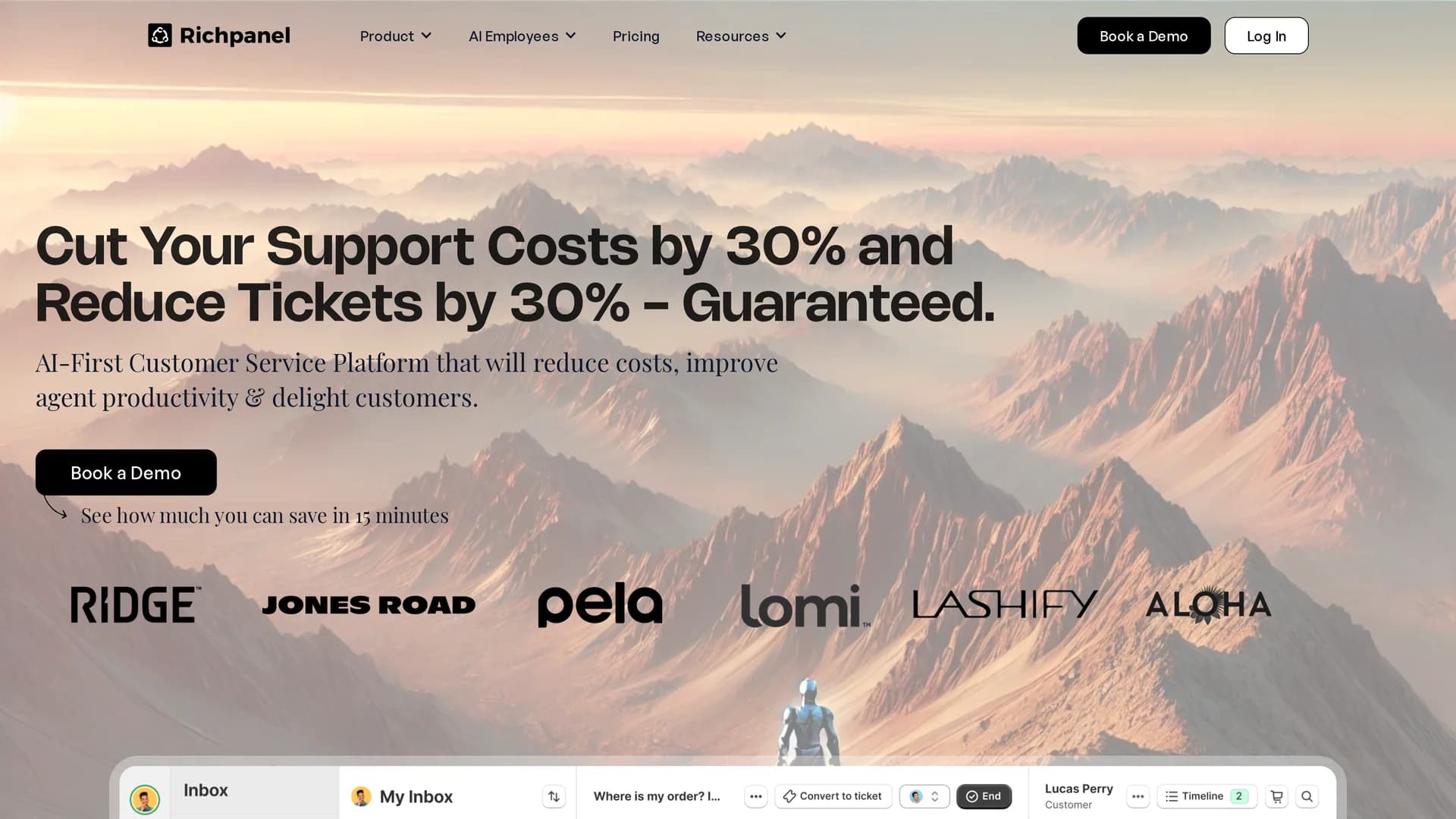 richpanel homepage