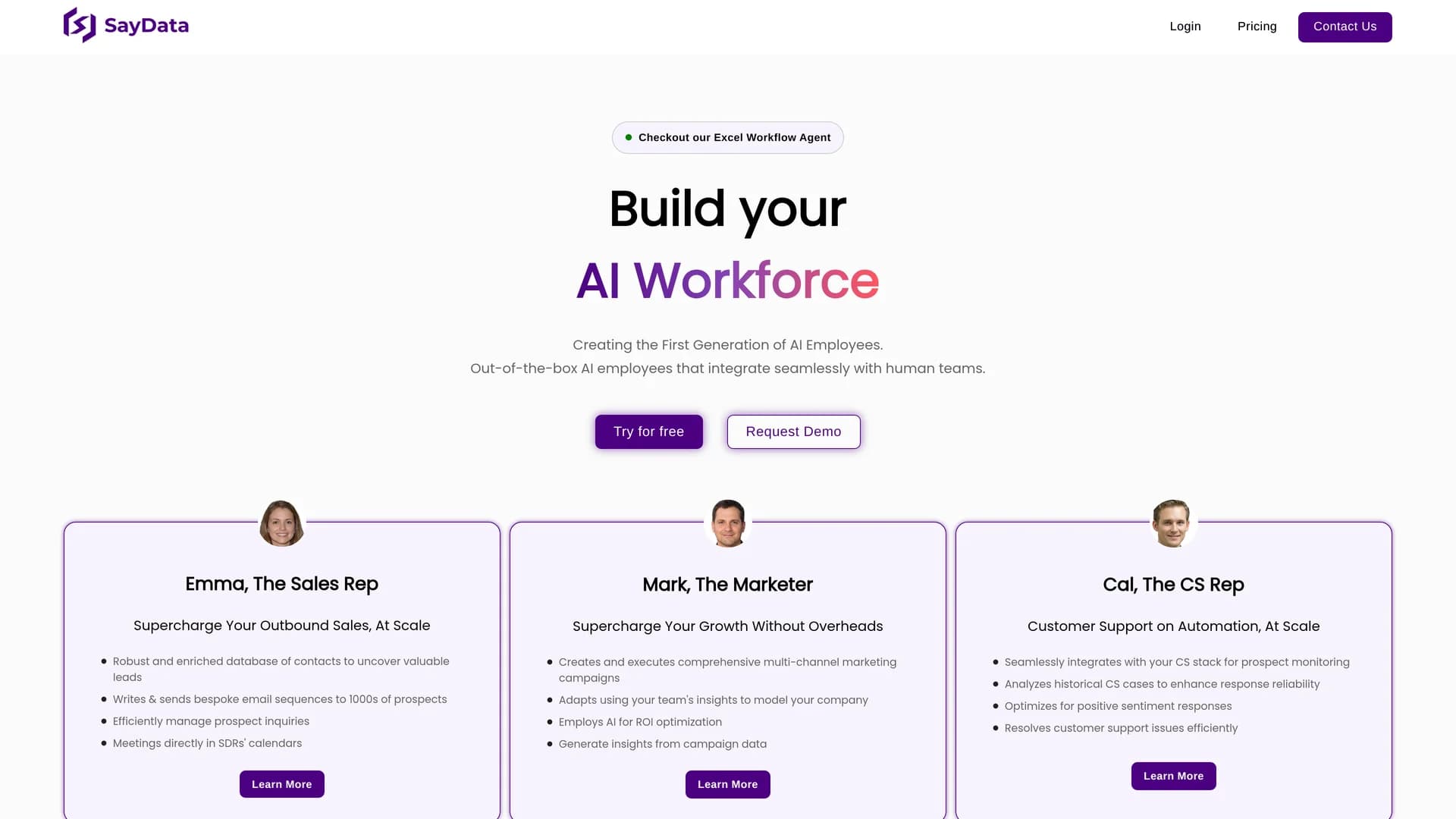 saydata homepage