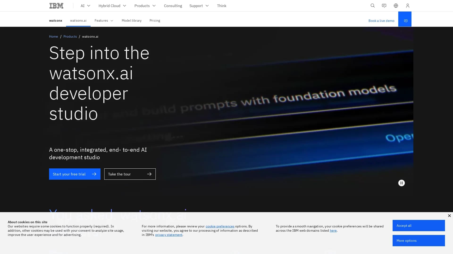watsonx-ai-by-ibm homepage