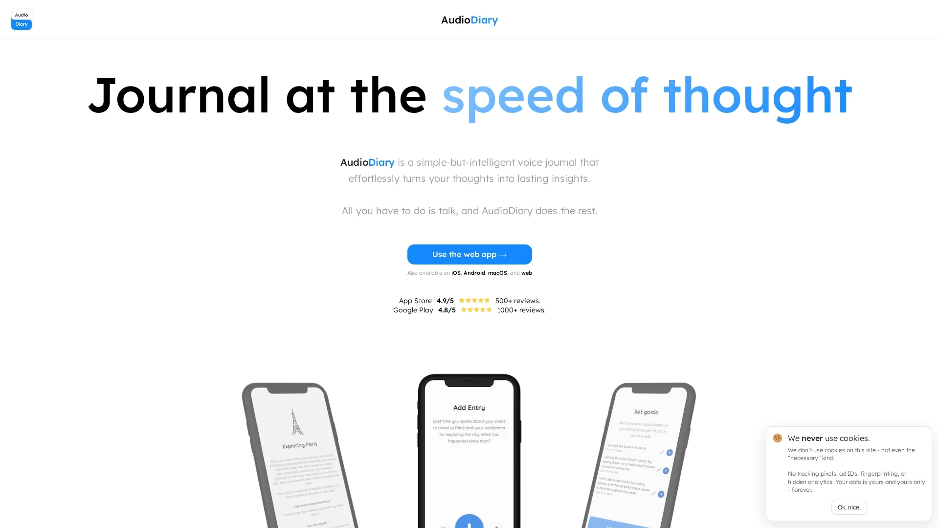 audio-diary homepage