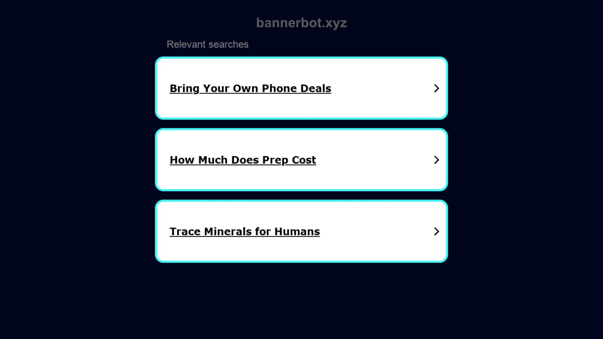 bannerbot homepage
