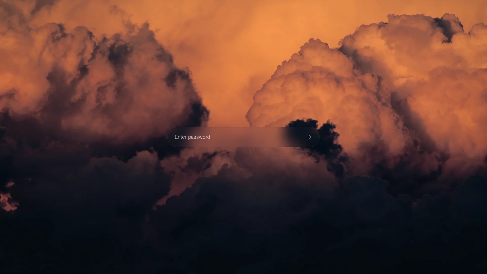 bloom homepage