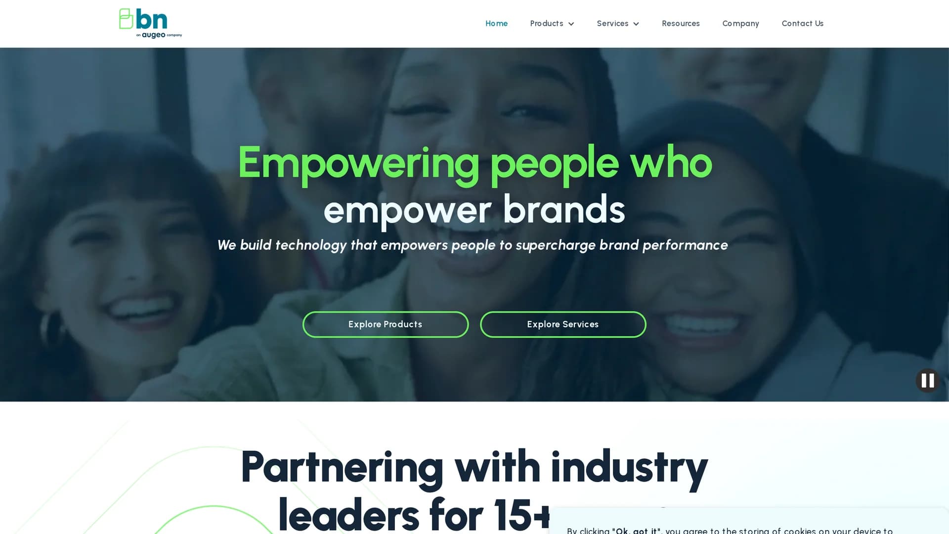 brandnetworksinc-com homepage