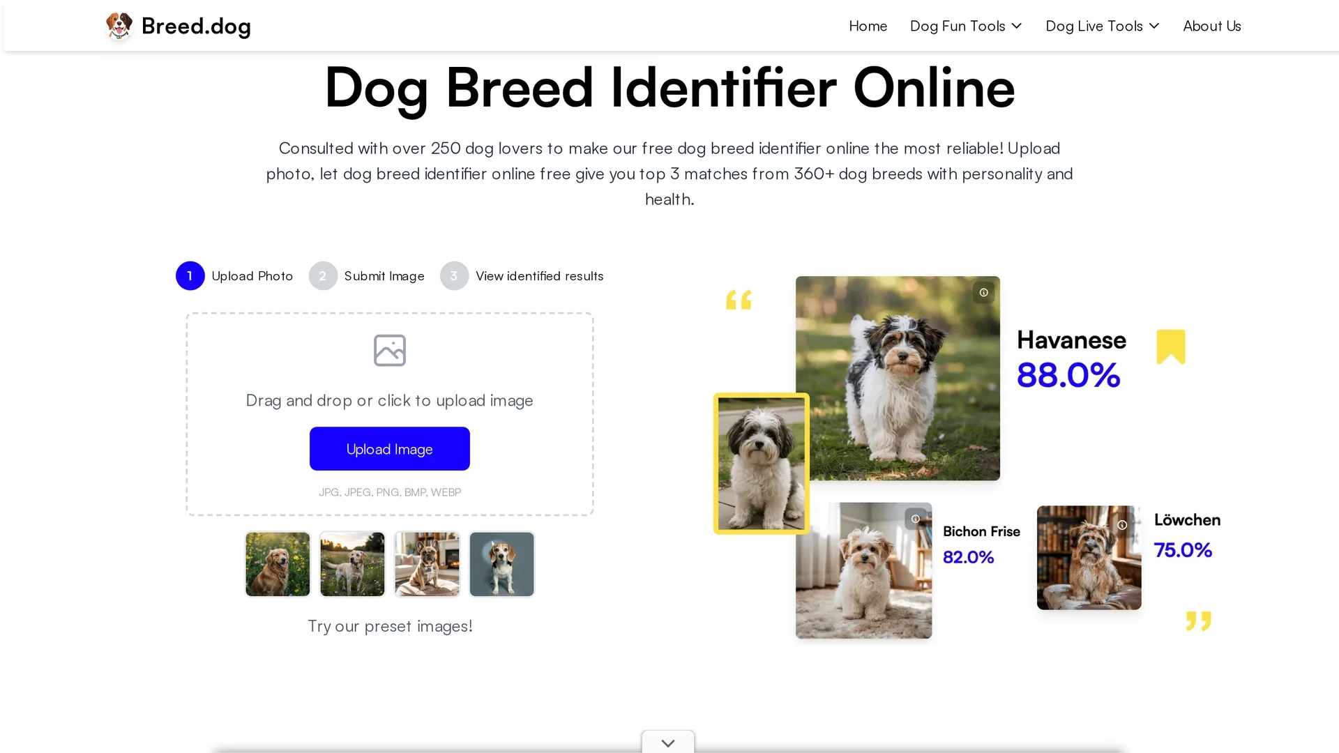 breed-dog homepage