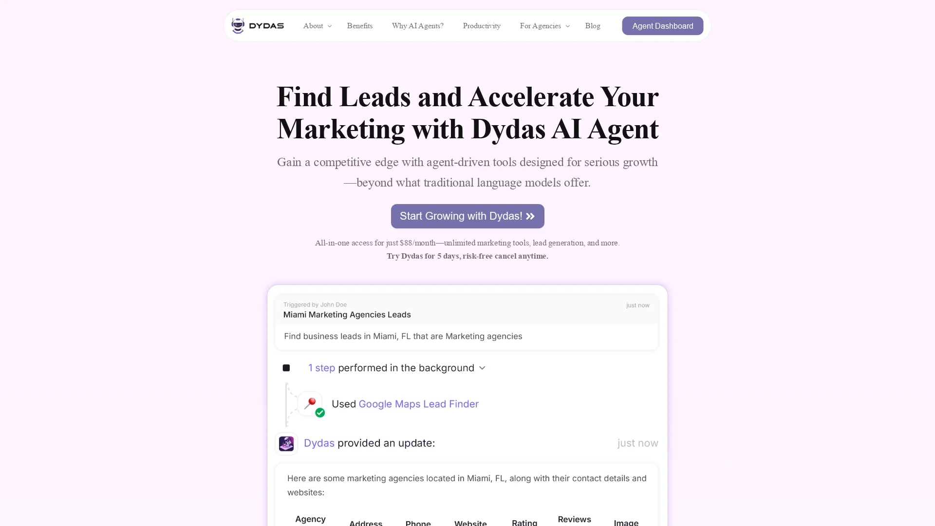 dydas homepage