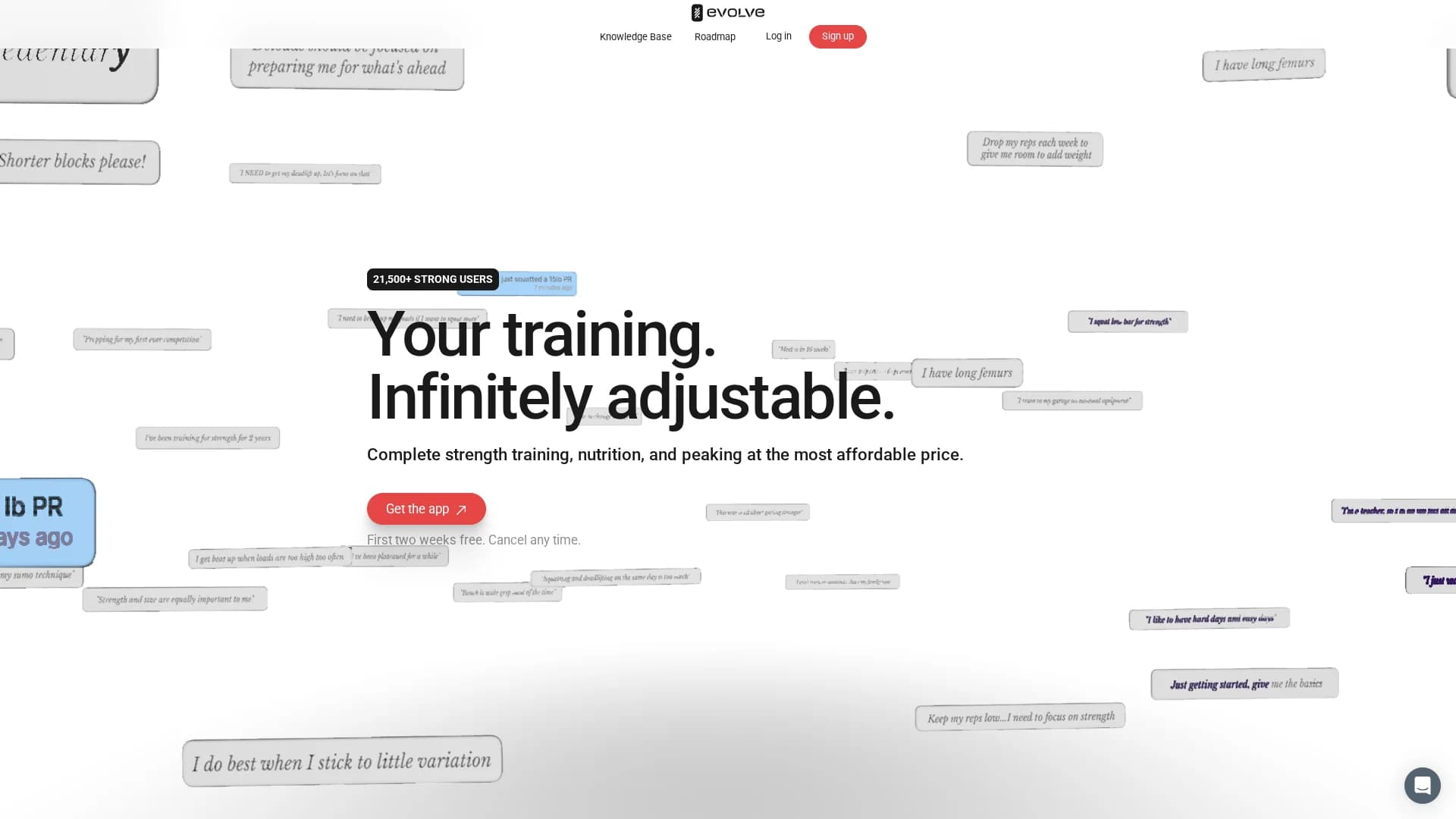 evolveai homepage