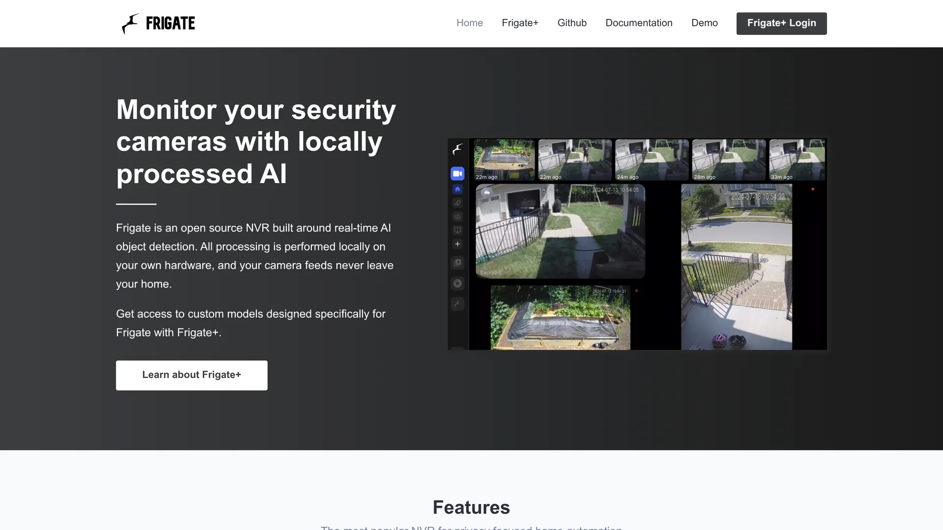 frigate-nvr homepage