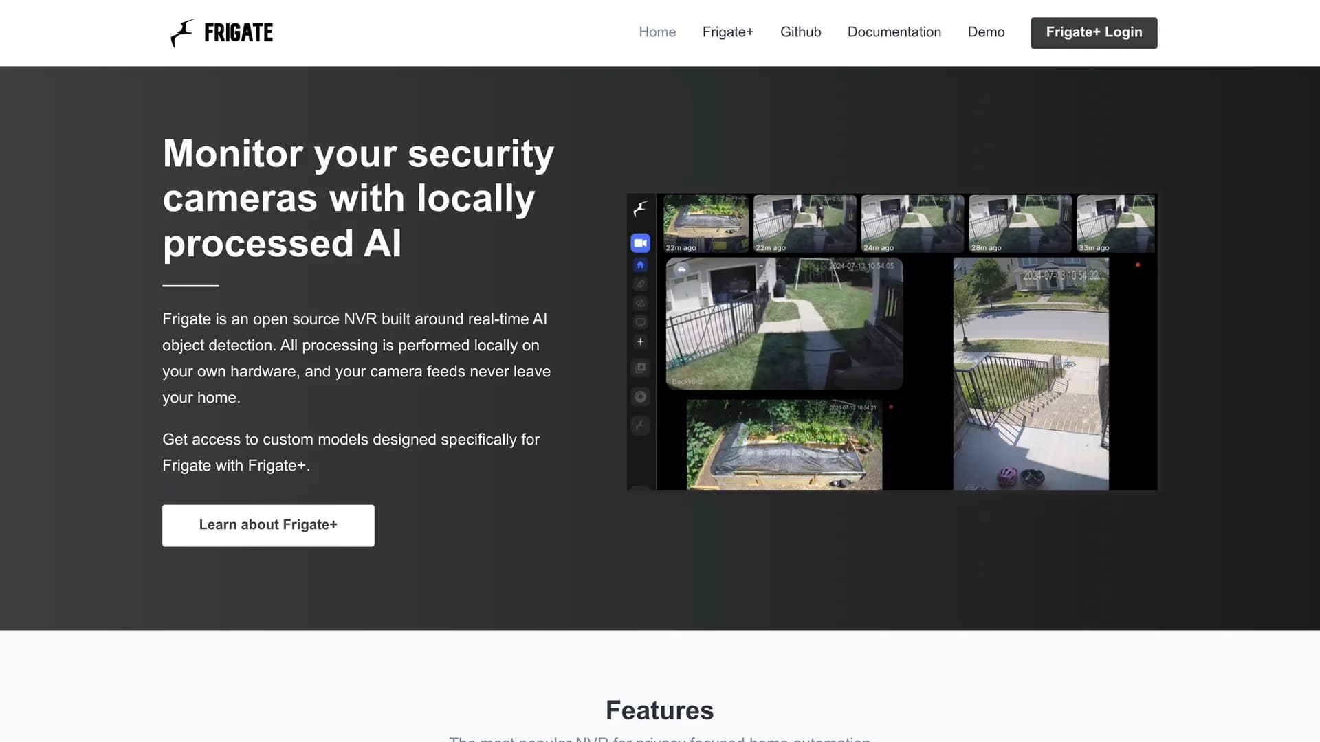 frigate-nvr homepage