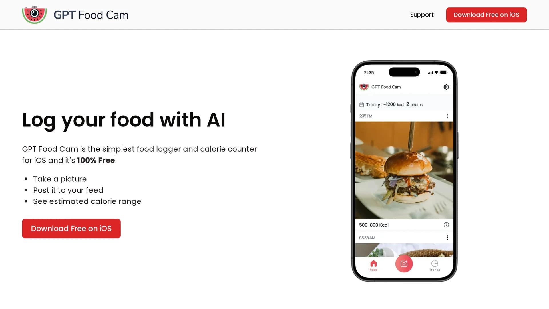 gpt-food-cam homepage