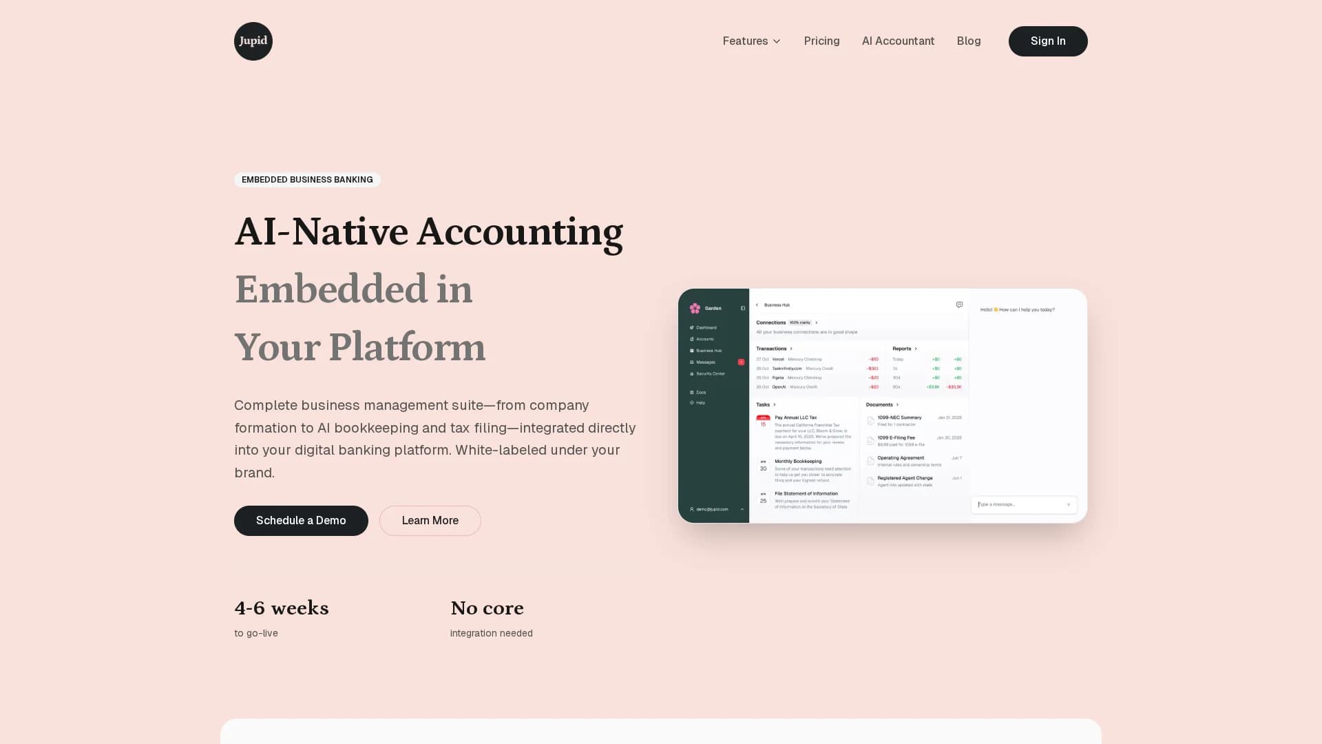 jupid-ai-accountant homepage