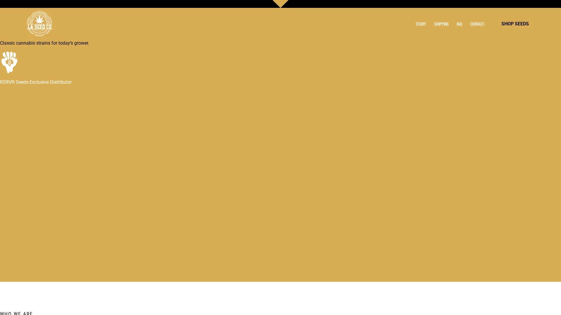 magician-figma homepage