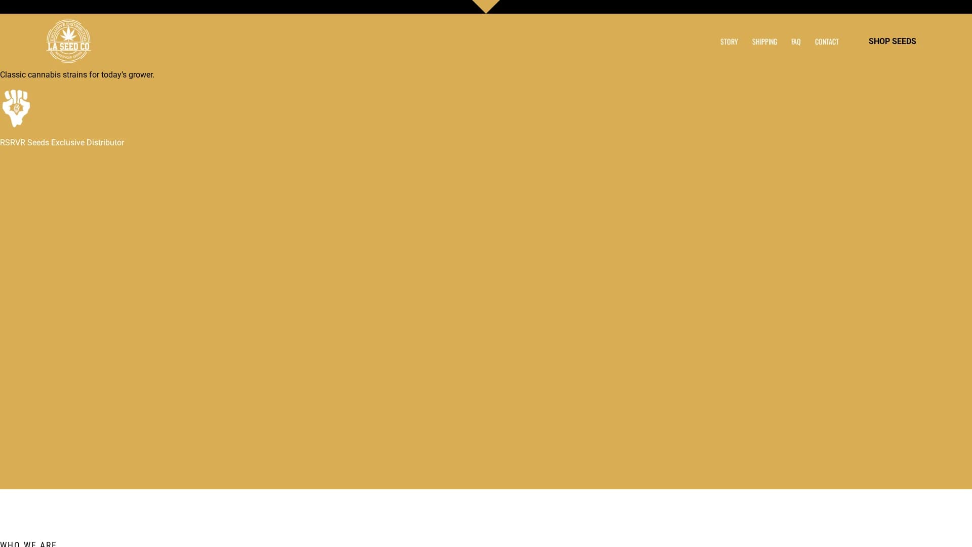 magician-figma homepage