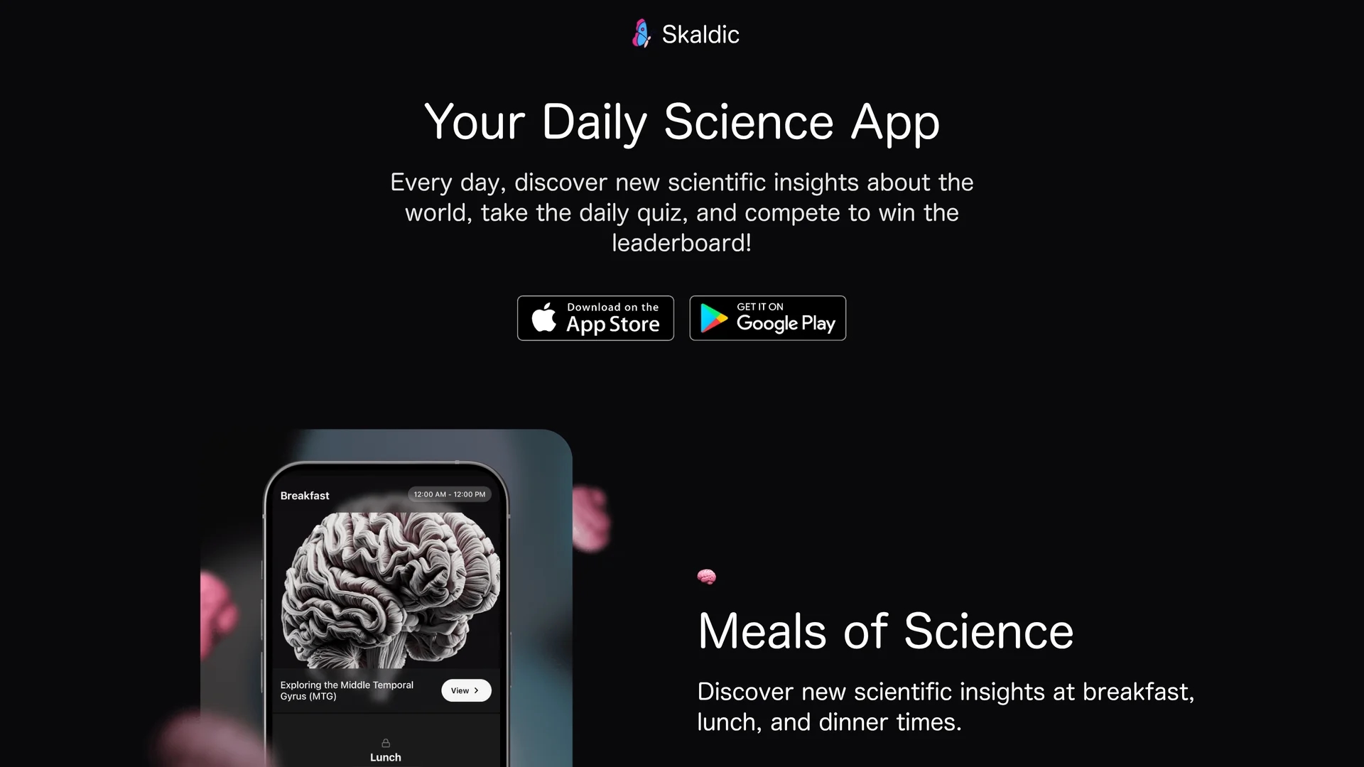 skaldic homepage