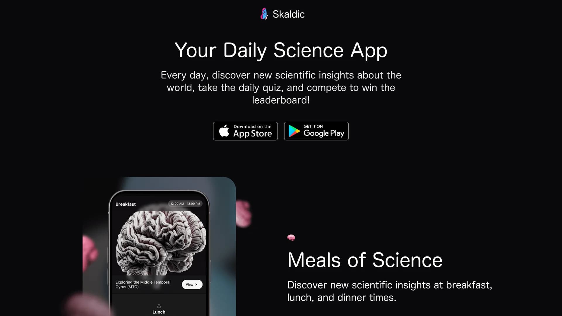 skaldic homepage