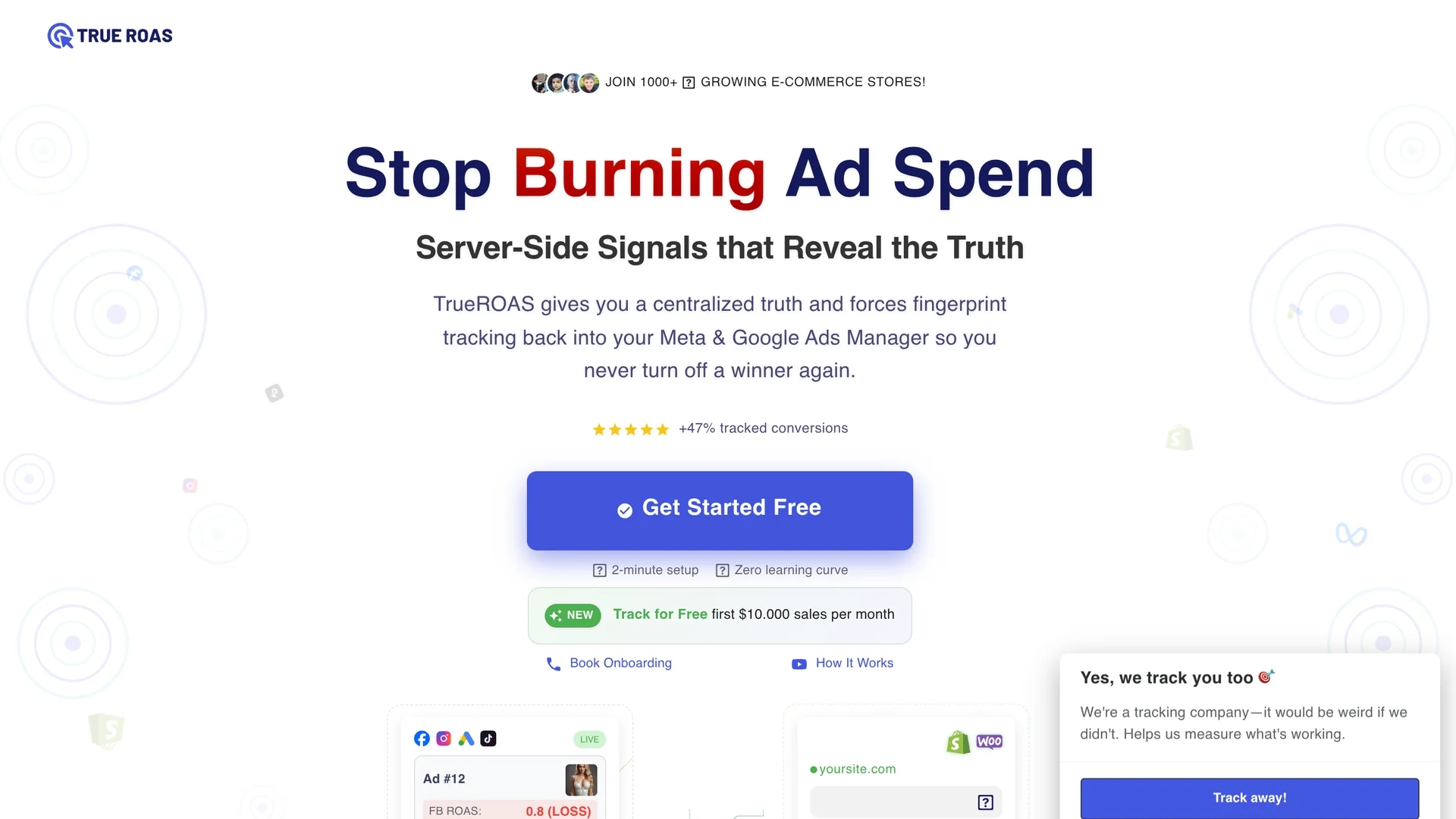 true-roas homepage