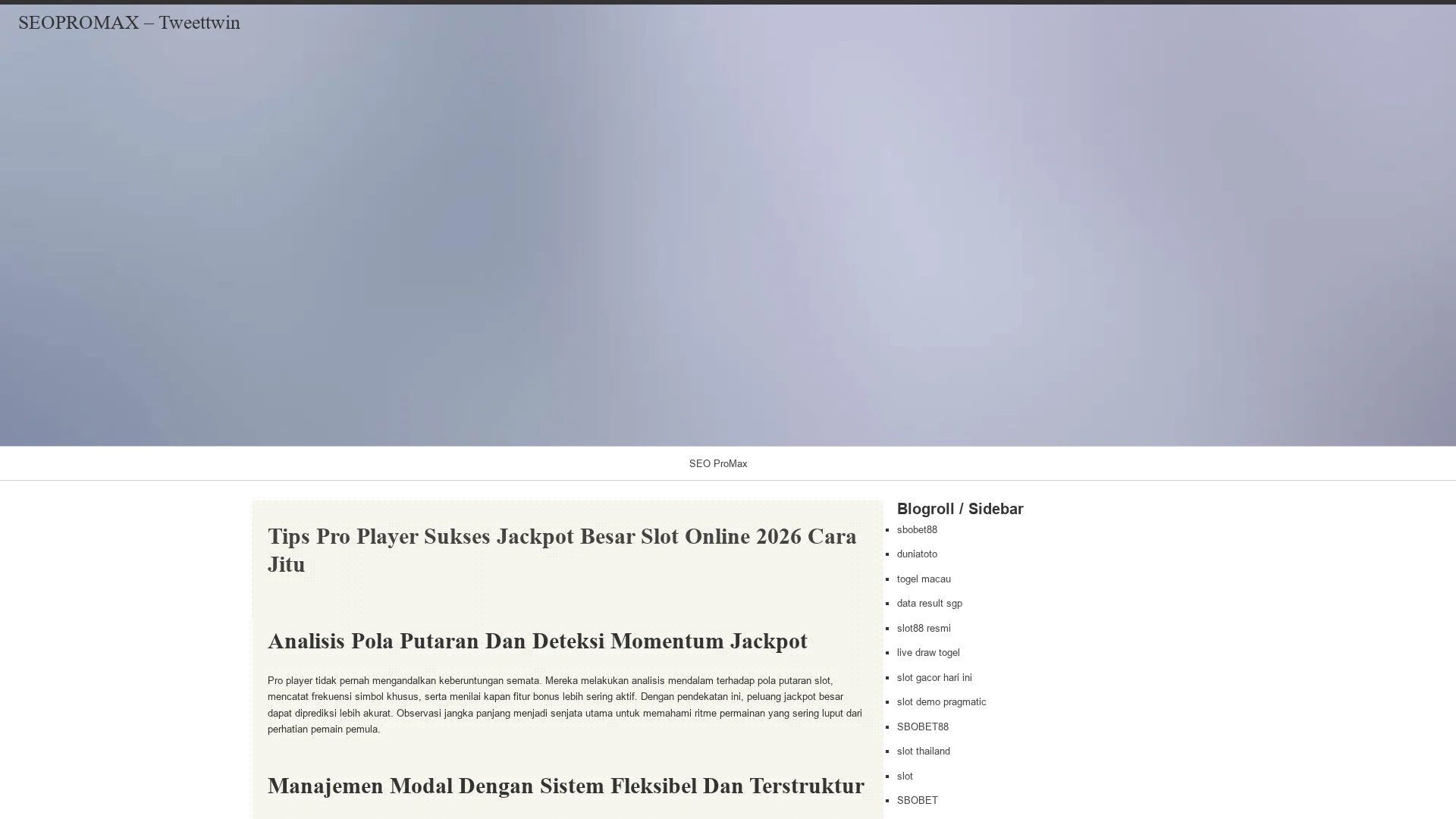 tweettwin homepage