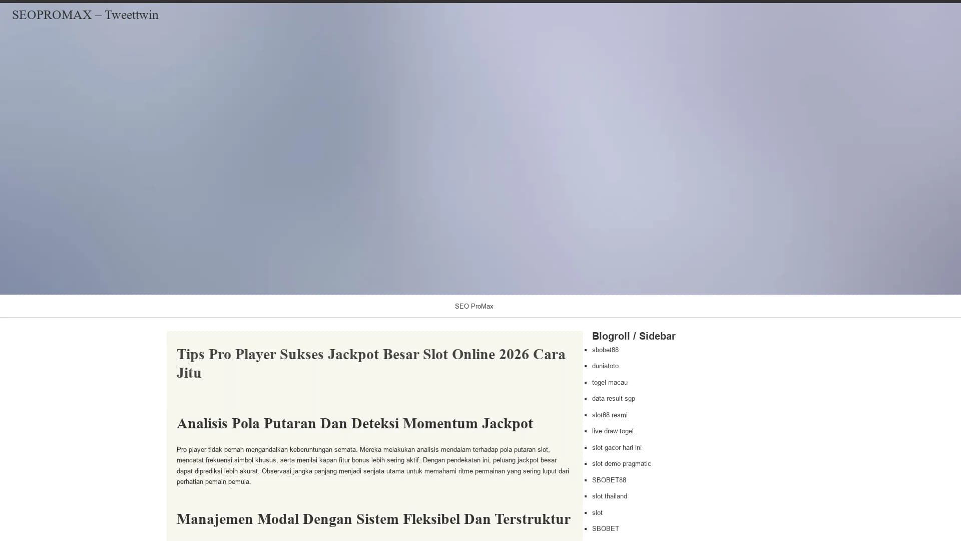 tweettwin homepage