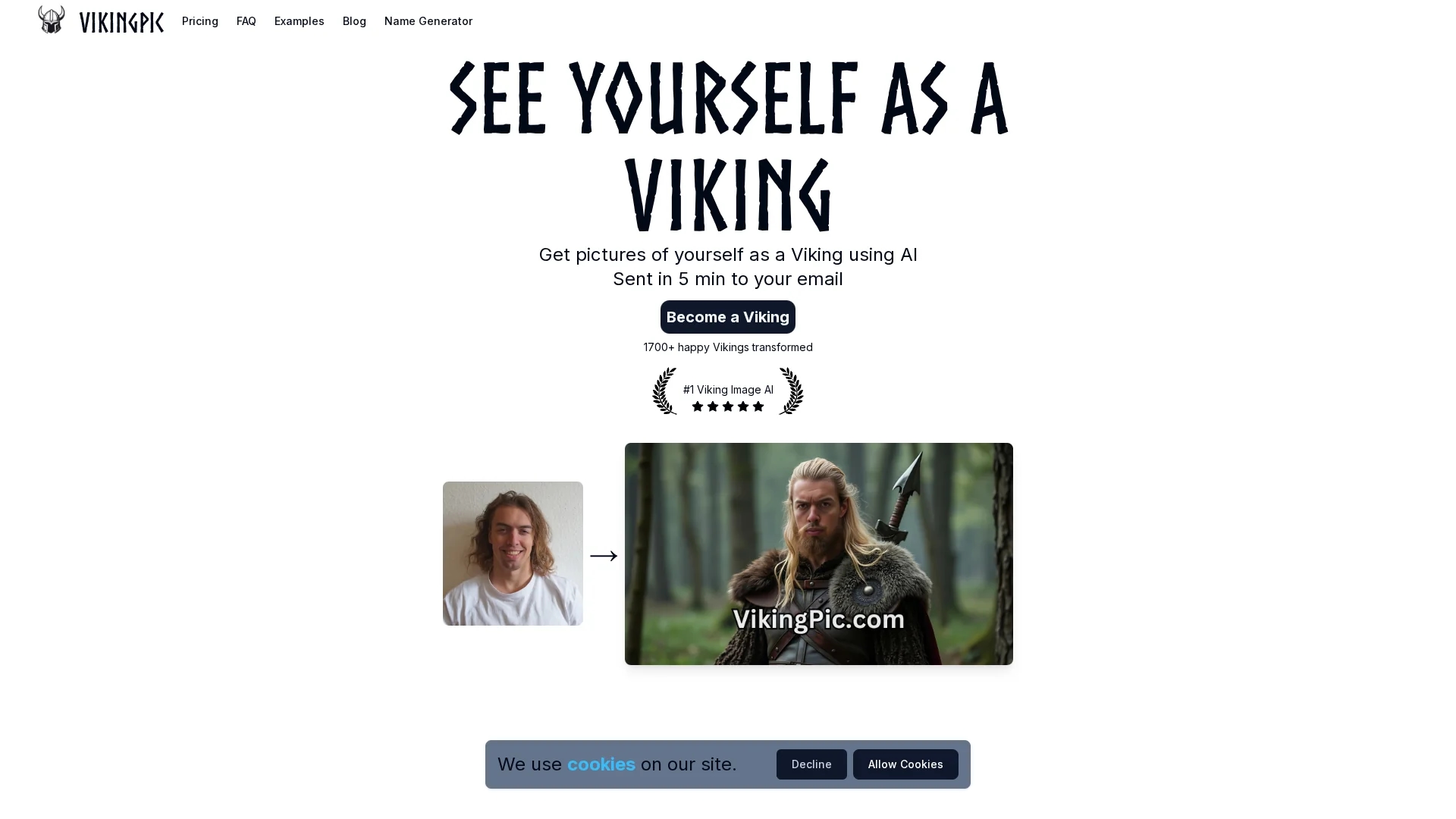 vikingpic homepage