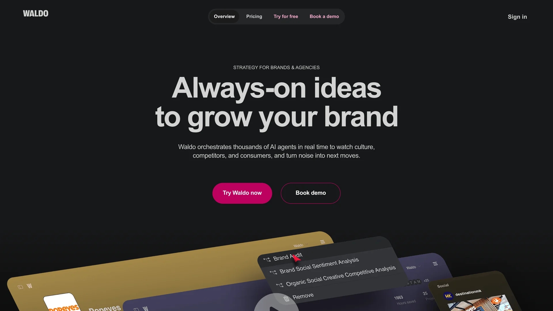waldo-fyi homepage